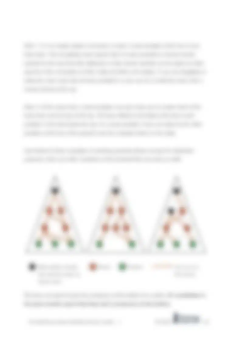 blurred example of the mckinsey solve game guidebook
